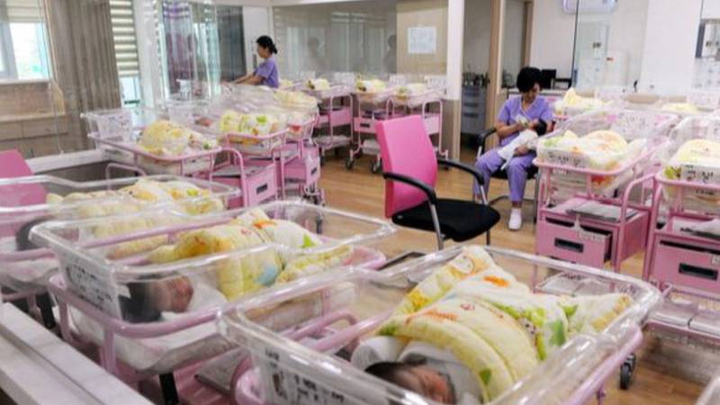  焦虑的管理者：从烂尾困境到精准突围的深度剖析 企业服务