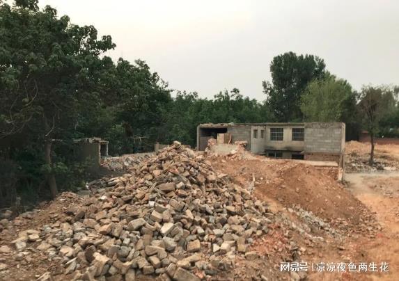 收到“责令交出土地决定”怎么办？专家教你如何捍卫合法财产 新闻