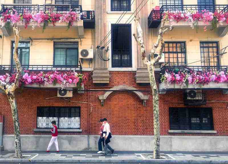  【技术解码】上海国际花卉节底层逻辑：城市花经济如何完成从“展”到“节”的战略跃迁 文化旅游