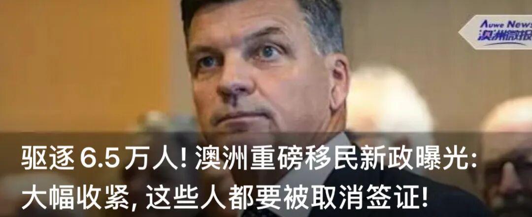  从神经外科名门到流量变现：华裔网红Paris的财富密码与法律红线全解析 娱乐新闻