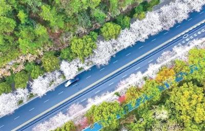  一条地铁改变一座城：成都人的出行记忆与城市蝶变 文化旅游