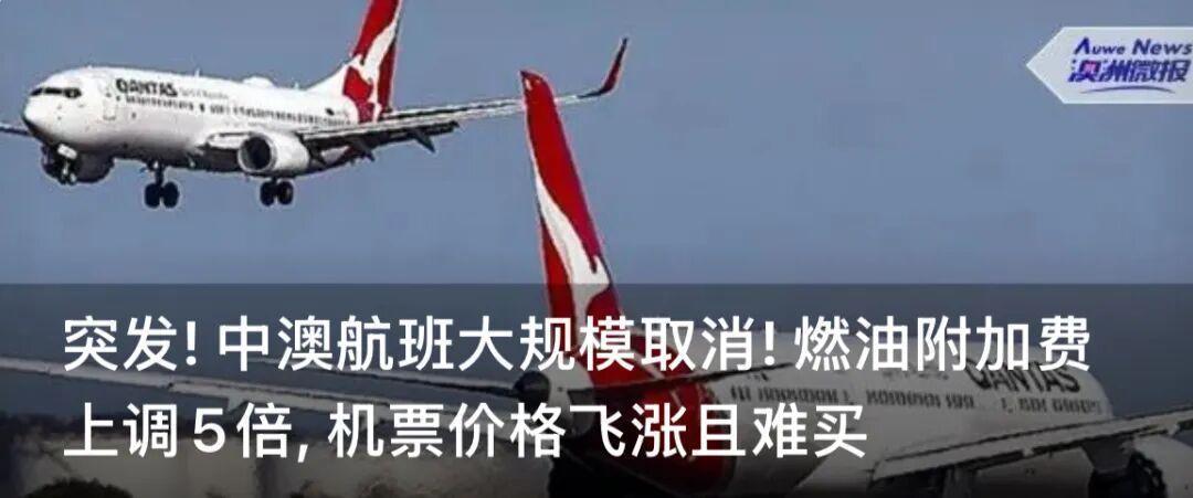  澳洲移民风云突变：华人家庭面临的真实困境与破局之道 新闻