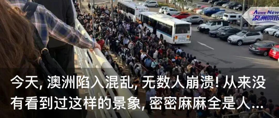  澳洲移民风云突变：华人家庭面临的真实困境与破局之道 新闻