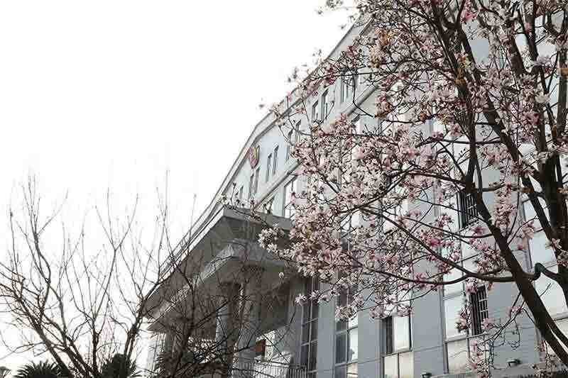  从玉兰花开透视司法的温度与尺度——法院人的双重修行 文化旅游