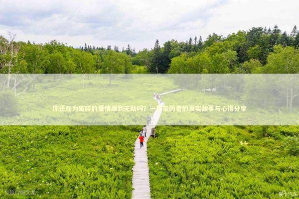 你还在为破碎的爱情感到无助吗？一位亲历者的真实故事与心得分享 新闻