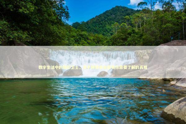 数字生活中的隐形卫士，关于网络安全服务你需要了解的真相 IT技术