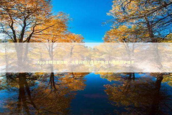 App合规运营攻略：从零开始打造用户协议与隐私保护体系 IT技术