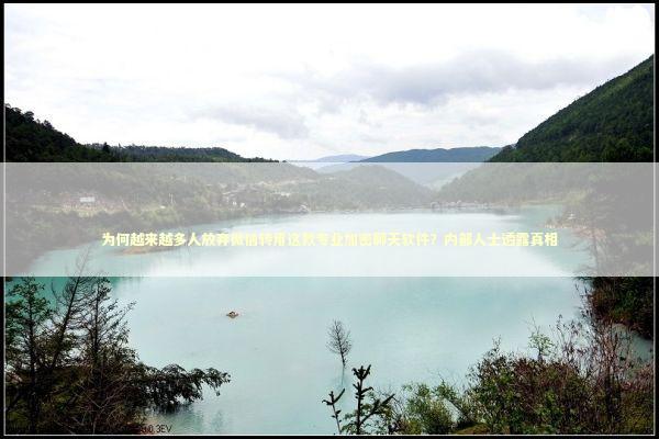 为何越来越多人放弃微信转用这款专业加密聊天软件？内部人士透露真相 IT技术