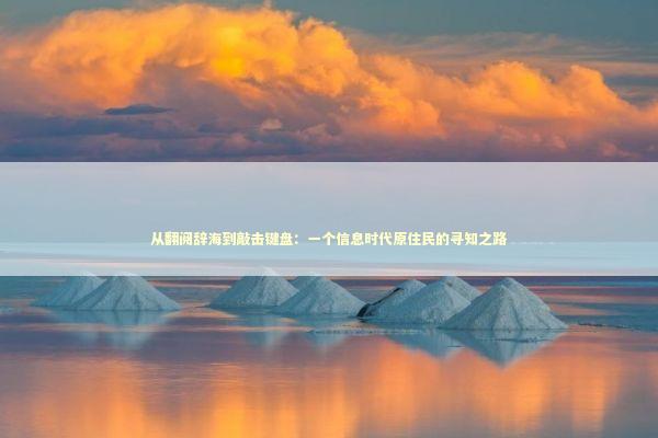 从翻阅辞海到敲击键盘：一个信息时代原住民的寻知之路 IT技术