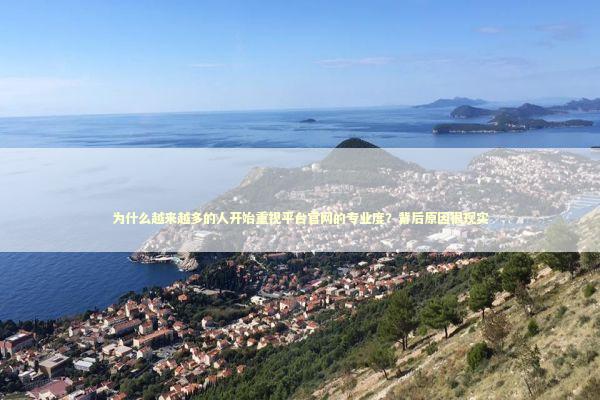 为什么越来越多的人开始重视平台官网的专业度？背后原因很现实 IT技术