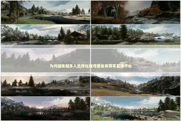 为何越来越多人选择在线观看体育赛事直播平台 体育新闻