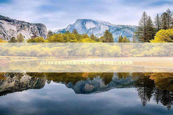 2024年企业如何把握内容营销风口从零搭建公众号矩阵 IT技术