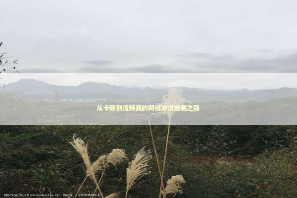 从卡顿到流畅我的网络冲浪逆袭之路 IT技术