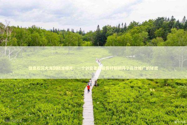 信息石沉大海到精准曝光：一个创业者的顿悟时刻揭开了高效推广的秘密 企业服务
