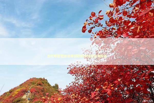 当红明星壁纸资源获取的多维度实测报告 IT技术