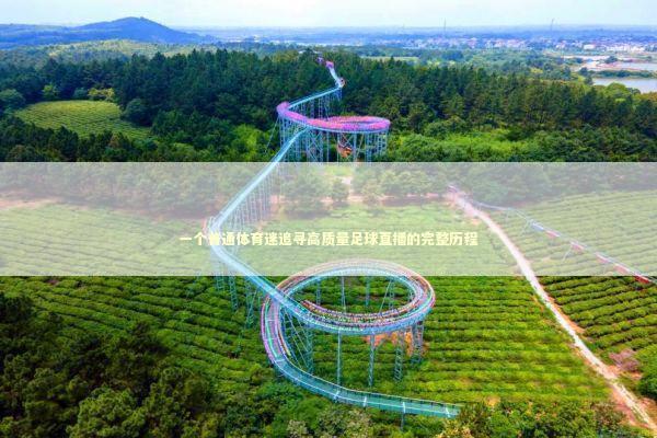 一个普通体育迷追寻高质量足球直播的完整历程 体育新闻